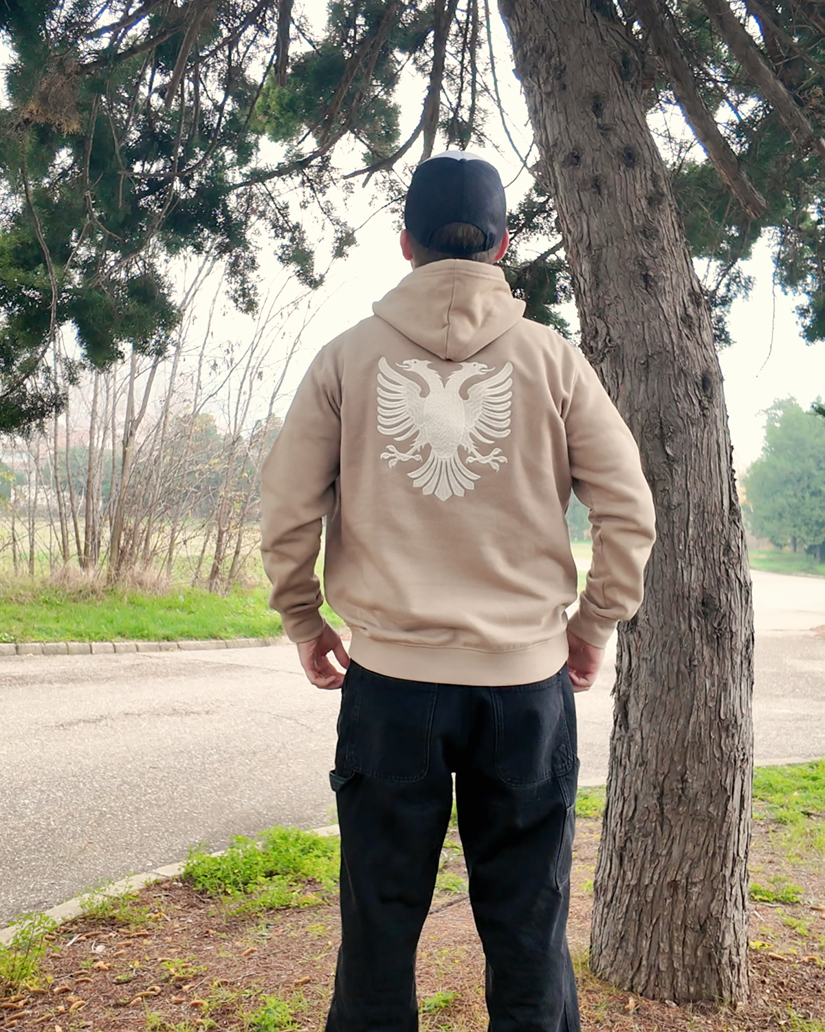 Shqiponja e qendisur